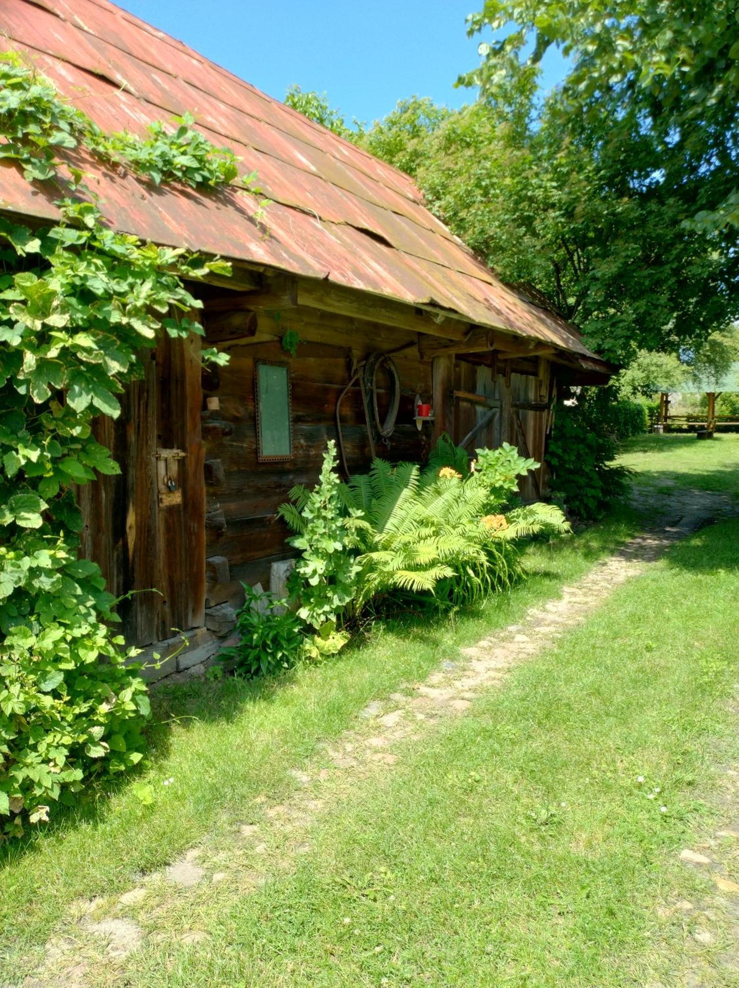 Dom Sloneczko Pokoje Do Wynajecia W Bialowiezy Białowieża Eksteriør bilde