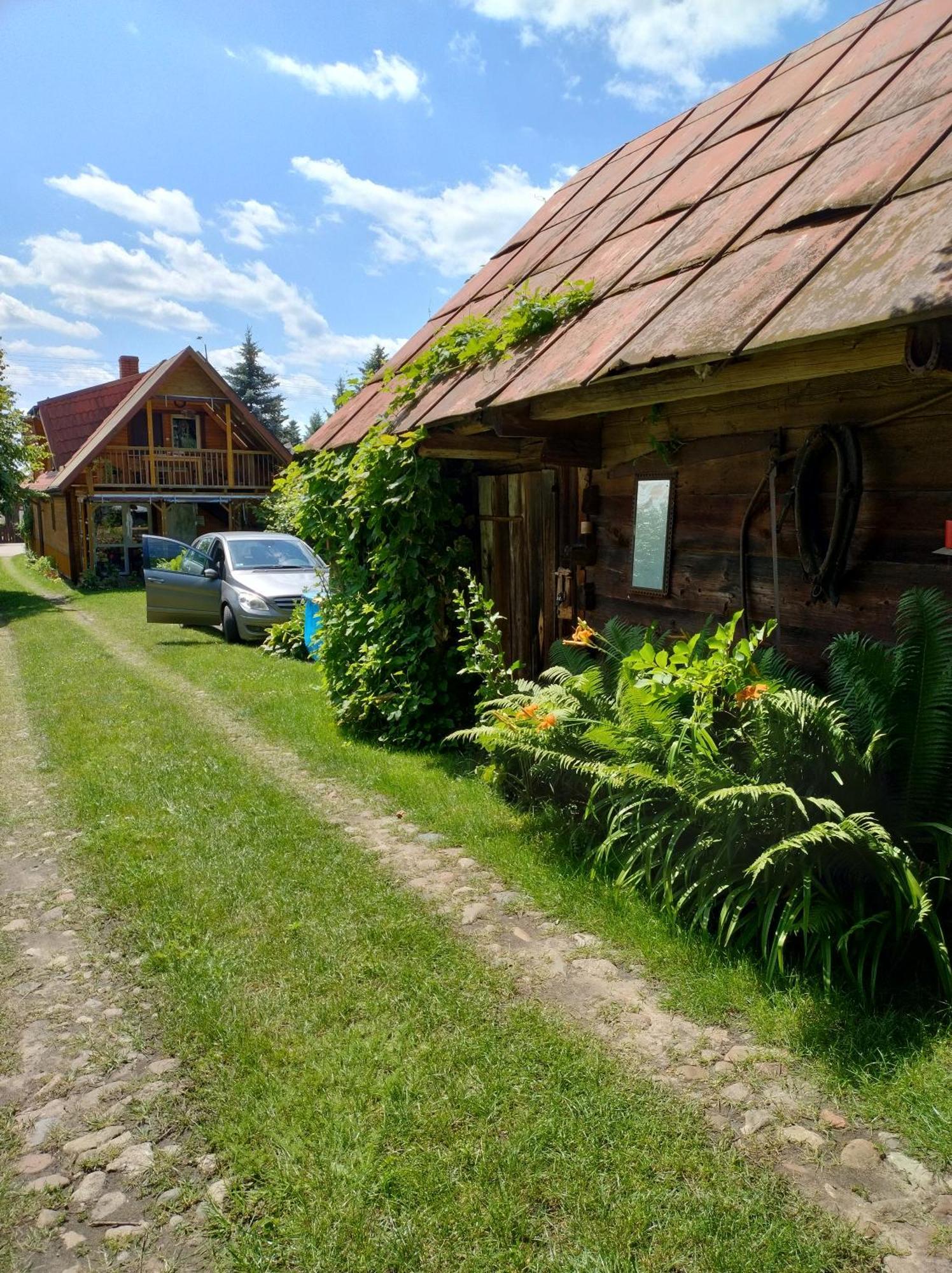 Dom Sloneczko Pokoje Do Wynajecia W Bialowiezy Białowieża Eksteriør bilde